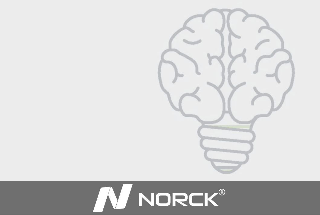 Innovation at Work - Norck